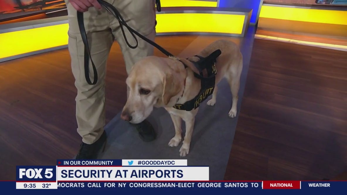 Meeting TSA explosives detection canine Messi
